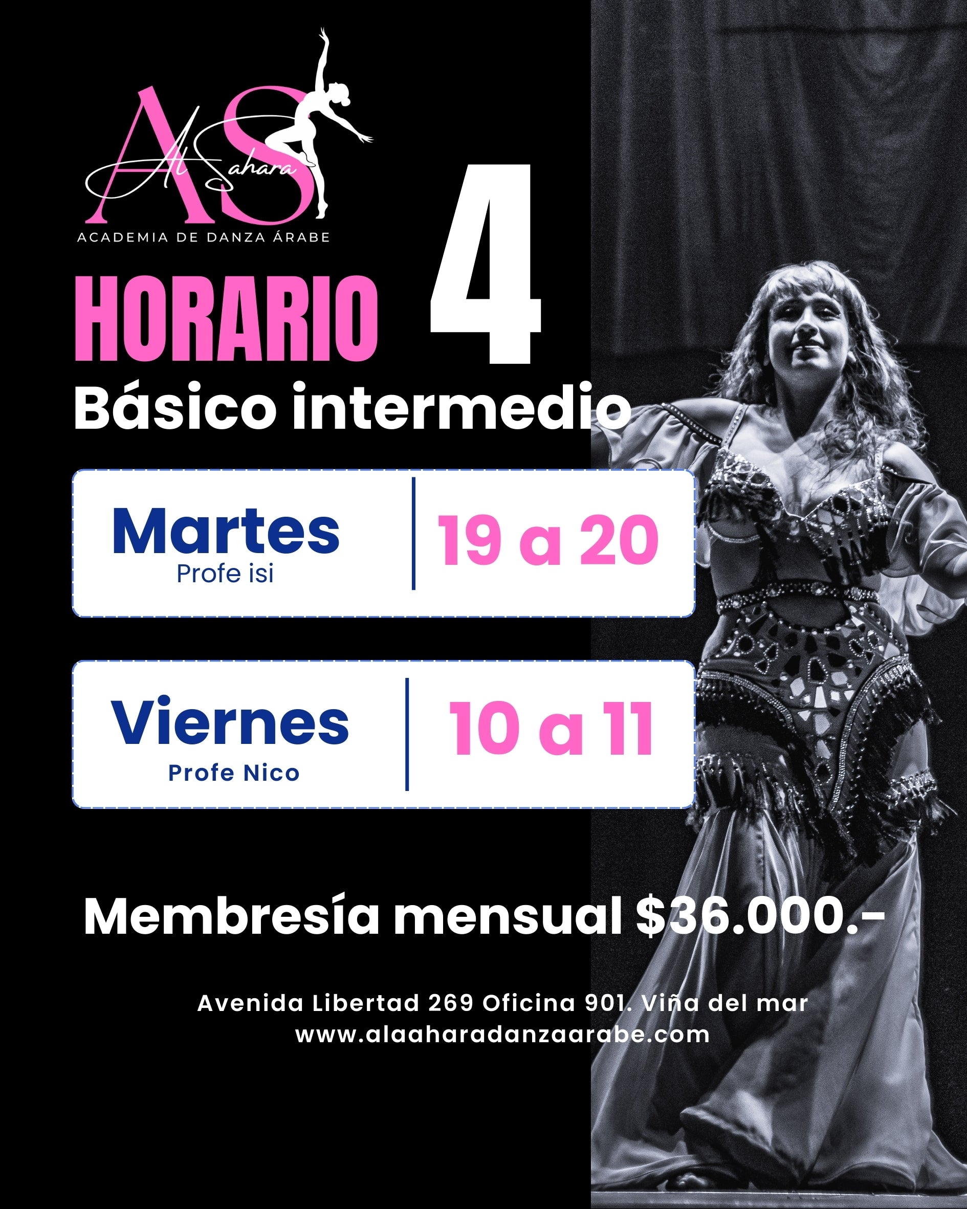 Programa Nivel Avanzado Danza Árabe