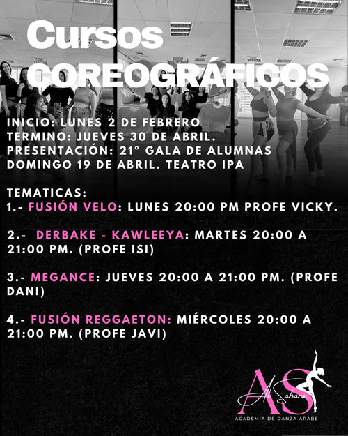 Programa Básico Intermedio Danza Árabe